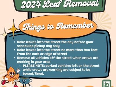 2024 Akron leaf removal