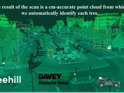 Digital tree inventory