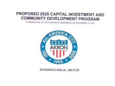 Capital budget 2025