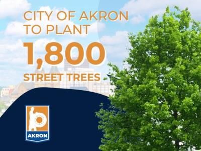 Akron street trees