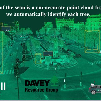 Digital tree inventory