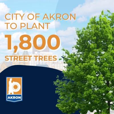 Akron street trees